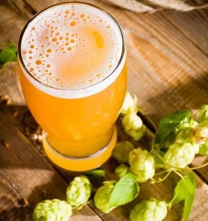 How should hops be stored in a craft brewery?